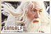 The Lord of the Rings - Gandalf [*]